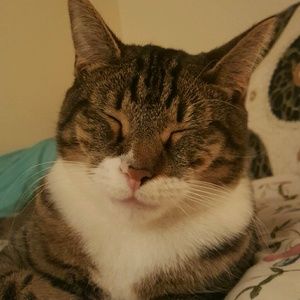 Meet your Posher, Kendle